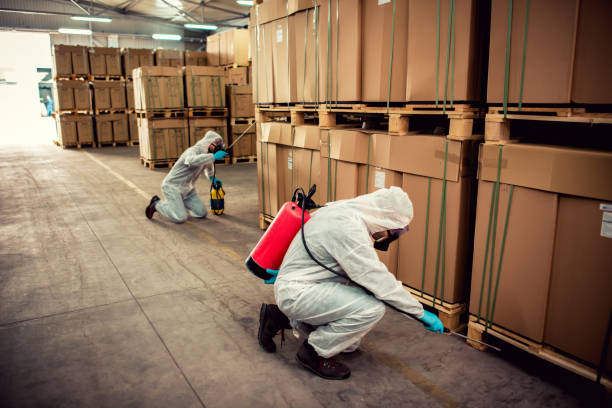 Best Local Pest Control Services  in Reidville, SC