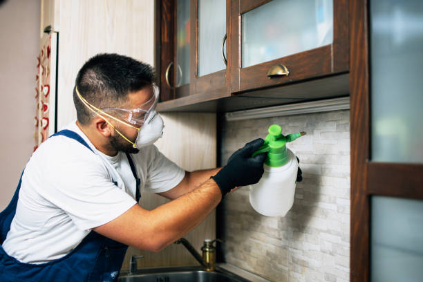 Best Pest Prevention Services  in Reidville, SC