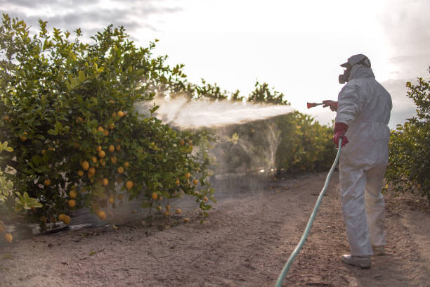 Reliable Reidville, SC Pest Control Solutions