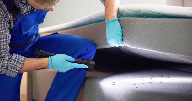 Best Mosquito Control Services  in Reidville, SC